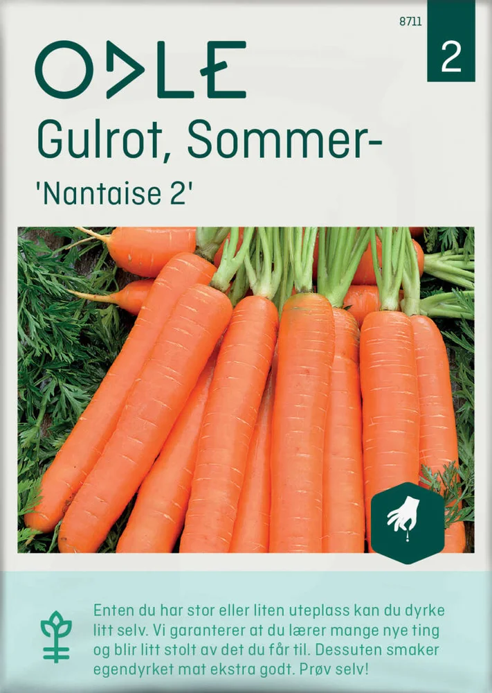 Odle 'Nantaise 2' sommer- gulrot frø v:2774113 Odle 'Nantaise 2' sommer- gulrot frø v:2774113