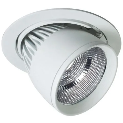 R-Flex Easyform Downlight 3043439