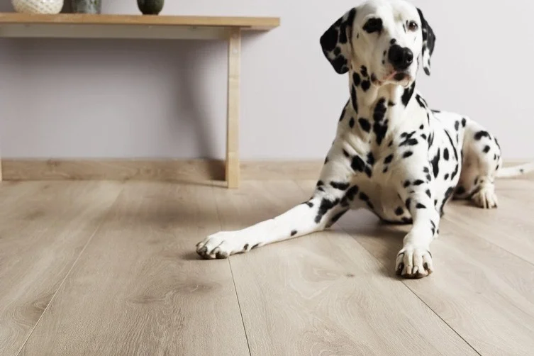 Laminatgulv XL 1-stav hvit bred og lang bord v:1040941 Laminatgulv XL 1-stav hvit bred og lang bord v:1040941