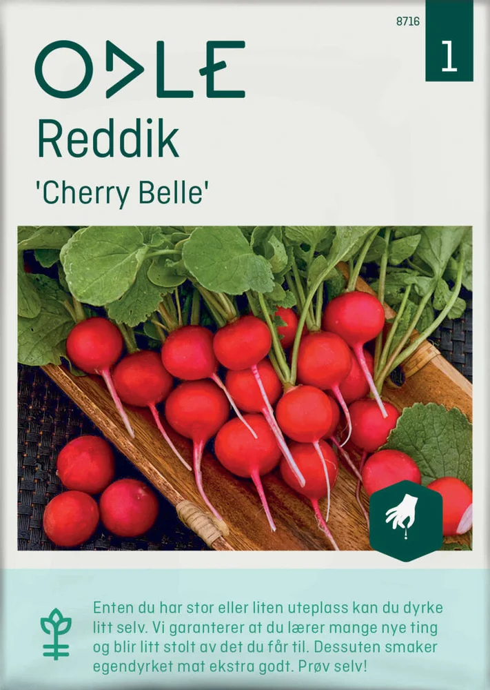 Odle 'Cherry Belle' reddik frø v:3092271 Odle 'Cherry Belle' reddik frø v:3092271