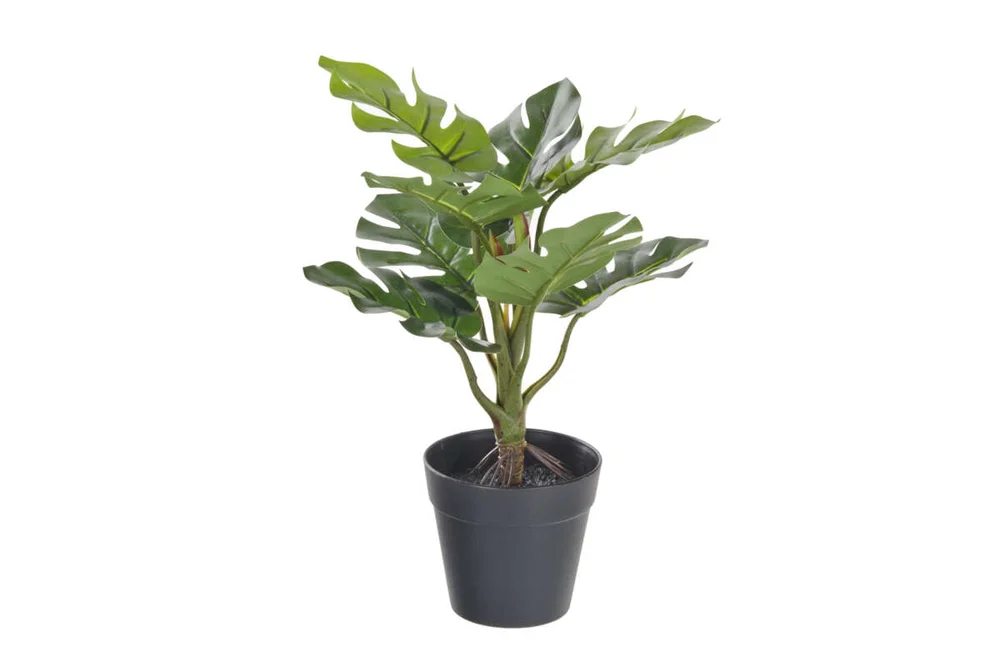 Kunstig plante v:5239651 Kunstig plante v:5239651