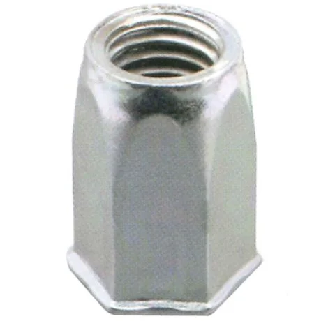 460398 Ejot Blindnagelmutter 3004895