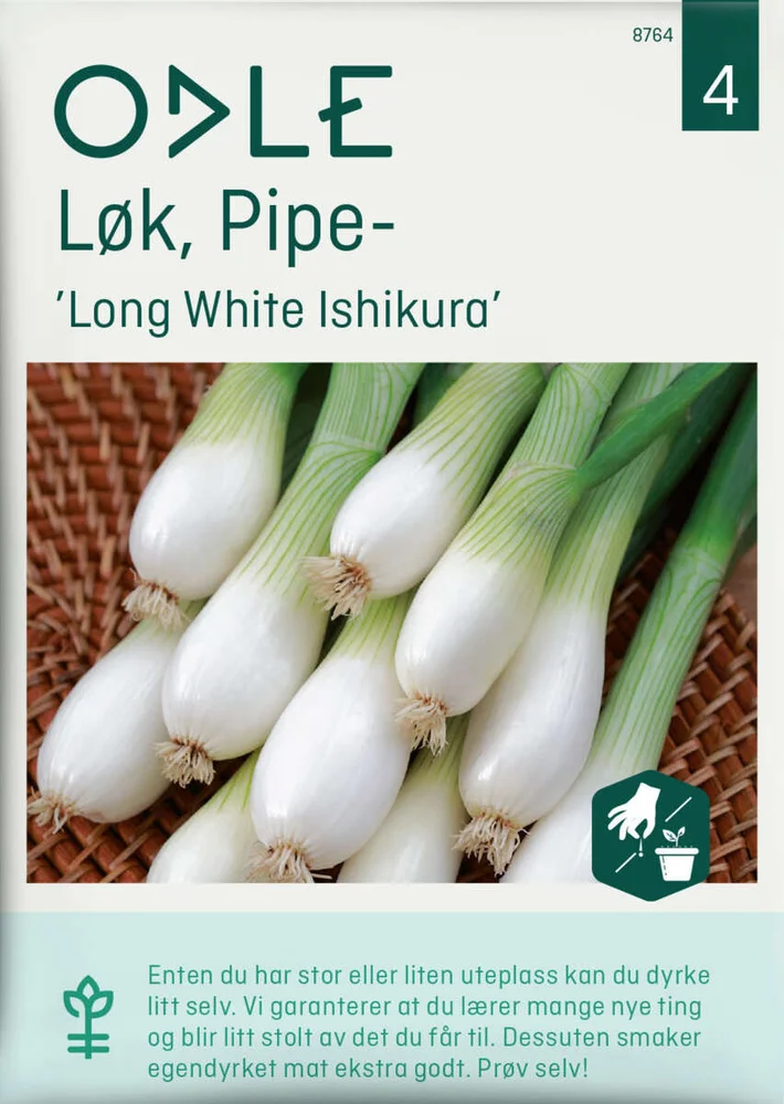 Odle Løk, Pipe-, Long White Ishikura frø v:7835806 Odle Løk, Pipe-, Long White Ishikura frø v:7835806