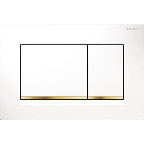 Sigma20 115.883.KK.1 Geberit Spyleplate 3106744 Sigma20 115.883.KK.1 Geberit Spyleplate 3106744