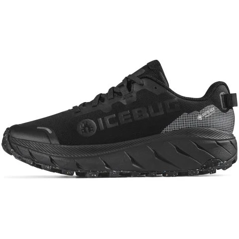 Arcus 2 RB9X GTX Icebug Yrkesko 4051250