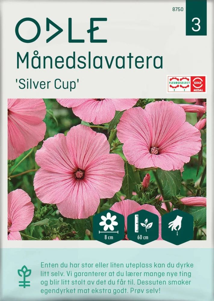 Odle 'Silver Cup' månedslavatera frø v:2694667 Odle 'Silver Cup' månedslavatera frø v:2694667
