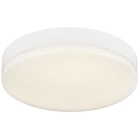 Moon Basic 255 Hide-a-Lite Basisplafond 3022143 Moon Basic 255 Hide-a-Lite Basisplafond 3022143