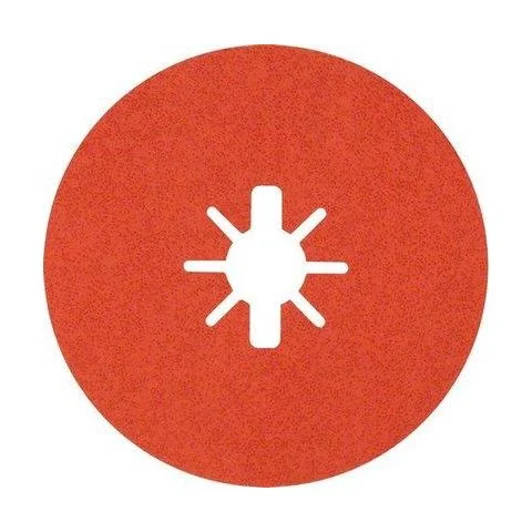 Expert R782 Bosch Slipeskive 3102949