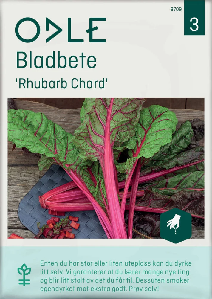 Odle 'Rhubarb Chard' bladbete frø v:4630522 Odle 'Rhubarb Chard' bladbete frø v:4630522