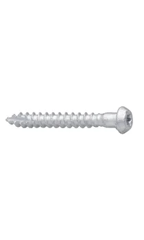 BESLAGSKRUE 5X40MM A250 T20 v:5269998