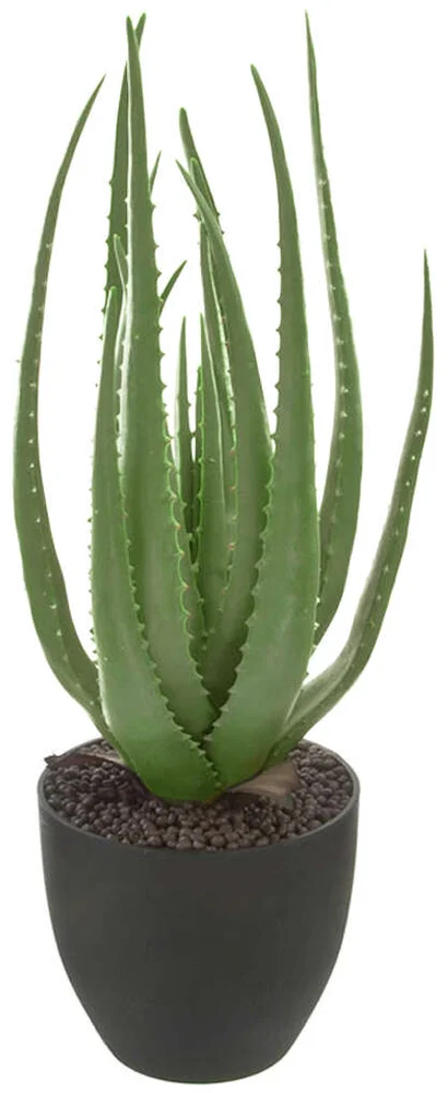 Kunstig plante – Aloe Vera i potte v:4662478 Kunstig plante – Aloe Vera i potte v:4662478