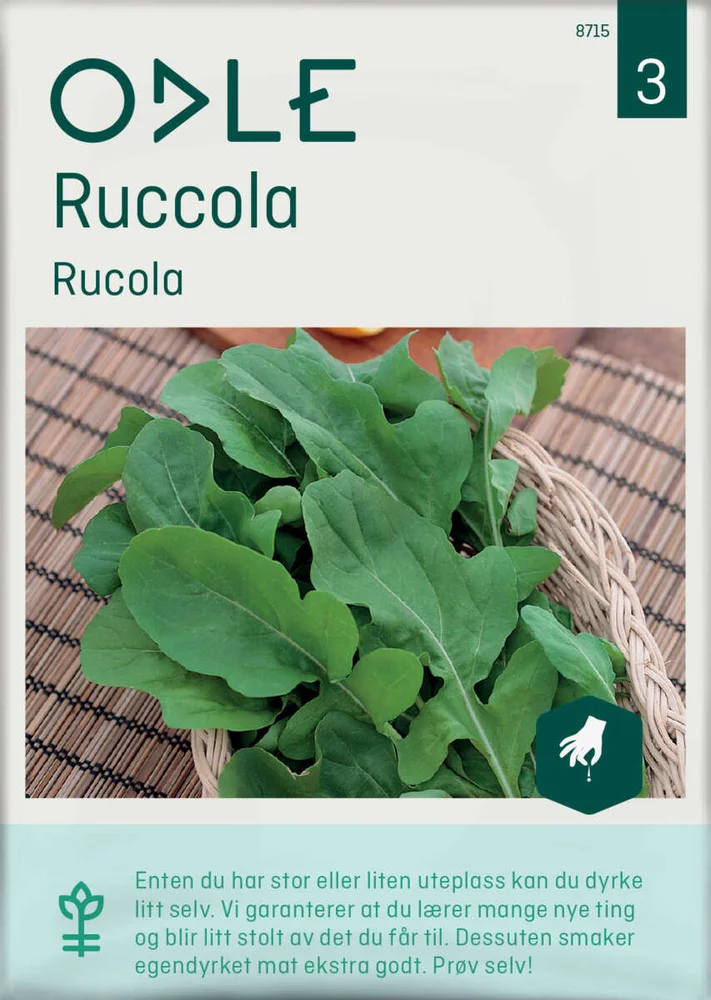 Odle ruccola frø v:3553884 Odle ruccola frø v:3553884