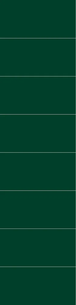 Fibo baderomsplate Bottle Green 60x30 cm 10x620x2400mm v:1208405