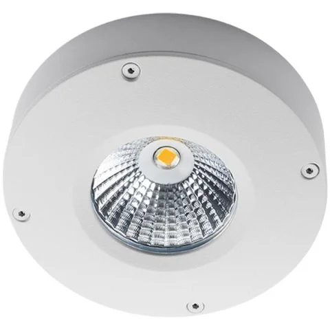 Callisto SG Armaturen Downlight 2817565
